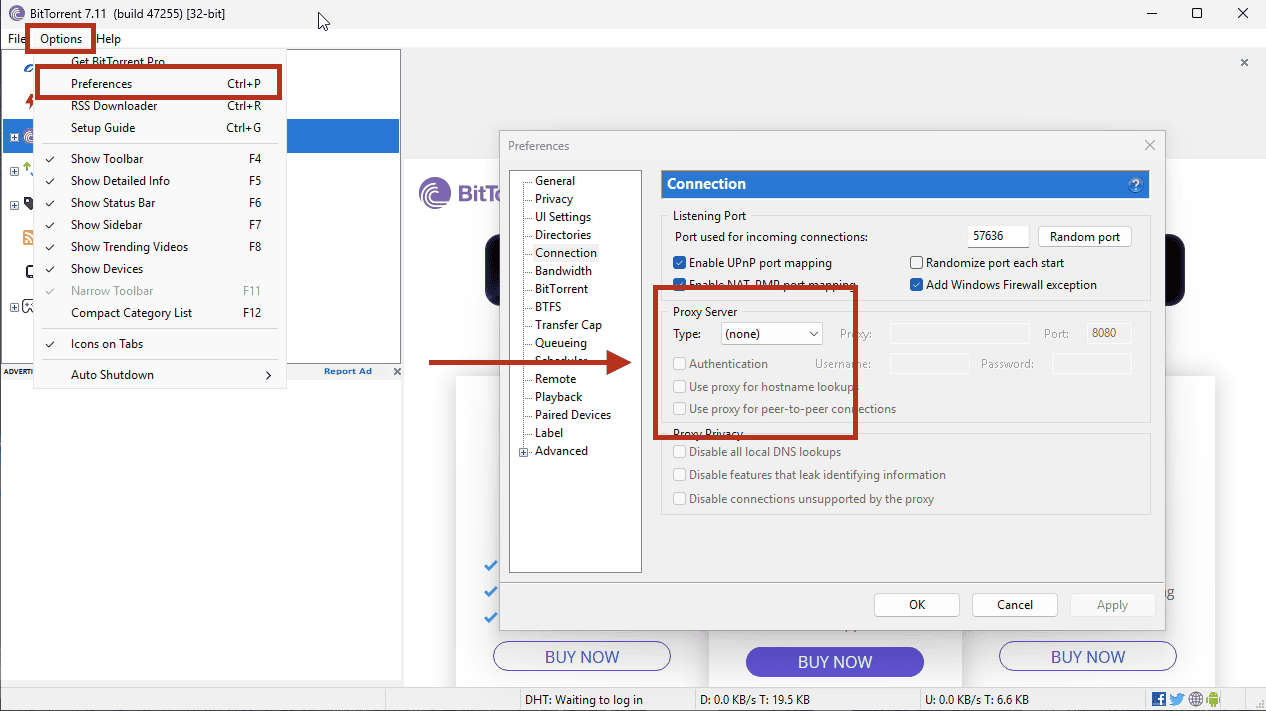 BitTorrent Classic Options > Preferences > Connection panel with Proxy Type set to (none)